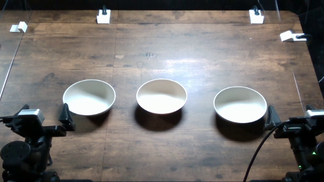Top-camera view of the stack bowls setup at 88 cm